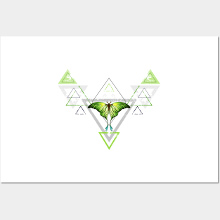 Geometric Pattern with Green Butterfly Posters and Art